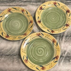 Pier 1 Elizabeth hNs painted stone ware Dinner Plates set of 3